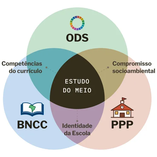 Diagrama de Venn mostrando a interseção entre ODS, BNCC e Projeto Político-Pedagógico